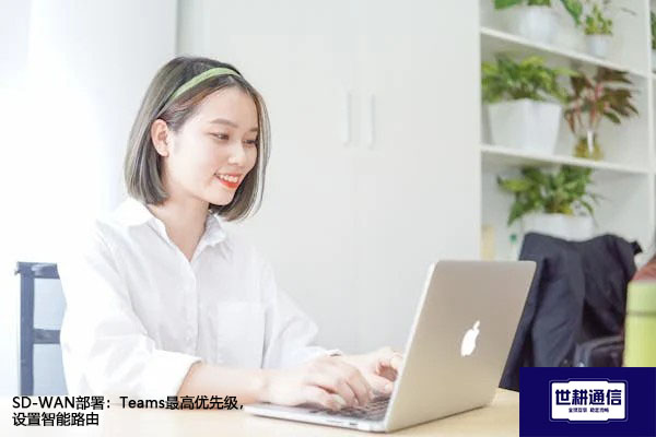 SD-WAN部署：Teams最高优先级，设置智能路由？？？解决方案//世耕通信全球办公专网