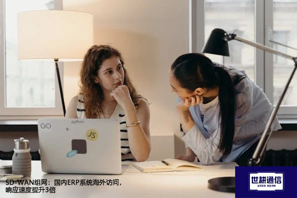 SD-WAN组网：国内ERP系统海外访问，响应速度提升3倍？？？解决方案//世耕通信全球办公专网