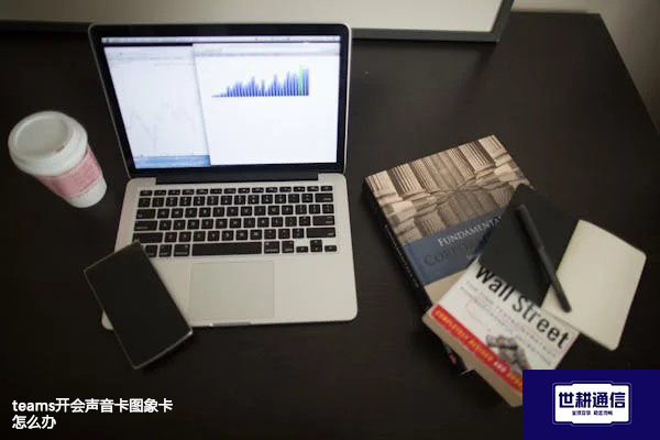 teams开会声音卡图象卡怎么办？？？解决方案//世耕通信全球办公专网