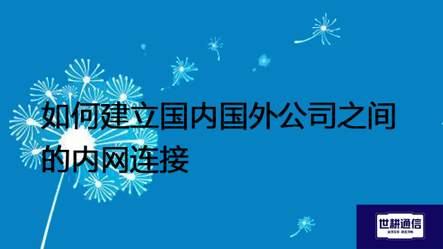 如何建立国内国外公司之间的内网连接​？？？解决方案//世耕通信全球办公专网