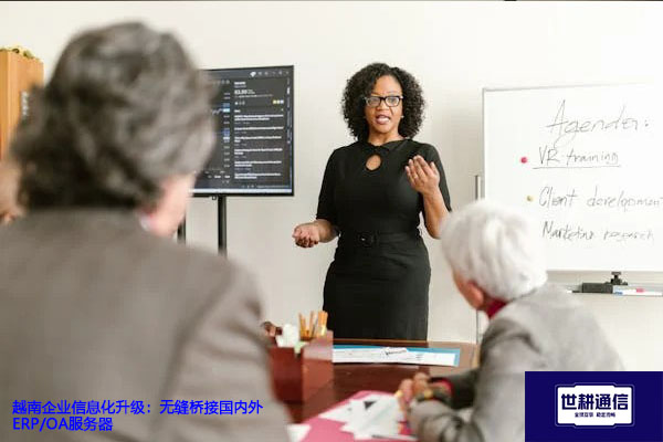 越南企业信息化升级：无缝桥接国内外ERP/OA服务器？？？解决方案//世耕通信全球办公专网