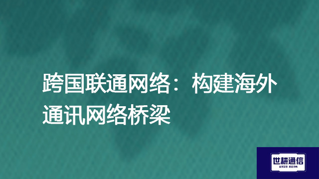 跨国联通网络：构建海外通讯网络桥梁  .jpg