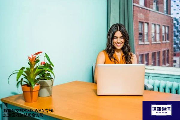 越南分支机构SD-WAN专线：加速国内总部网络访问？？？解决方案//世耕通信全球办公专网