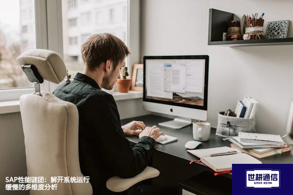 SAP性能谜团：解开系统运行缓慢的多维度分析？？？？解决方案//世耕通信全球办公专网