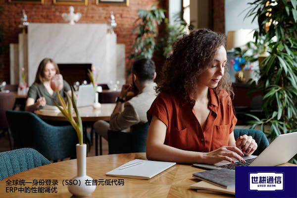 全球统一身份登录（SSO）在普元低代码ERP中的性能调优？？？？解决方案//世耕通信全球办公专网