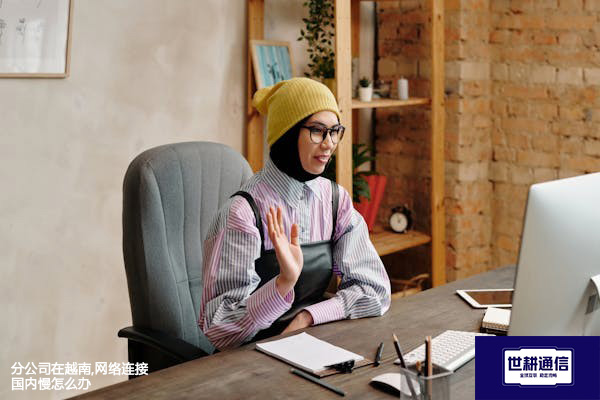 分公司在越南,网络连接国内慢怎么办？？？？解决方案//世耕通信全球办公专网