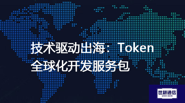 技术驱动出海：Token全球化开发服务包？？？解决方案//世耕通信全球办公专网