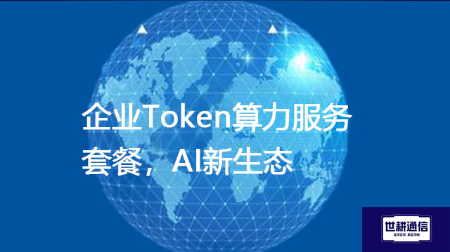 企业Token算力服务套餐，AI新生态？？？解决方案//世耕通信全球办公专网