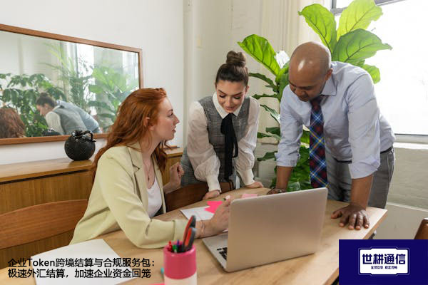 企业Token跨境结算与合规服务包：极速外汇结算，加速企业资金回笼？？？解决方案//世耕通信全球办公专网