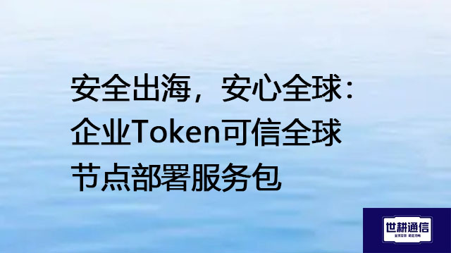 安全出海，安心全球：企业Token可信全球节点部署服务包？？？解决方案//世耕通信全球办公专网